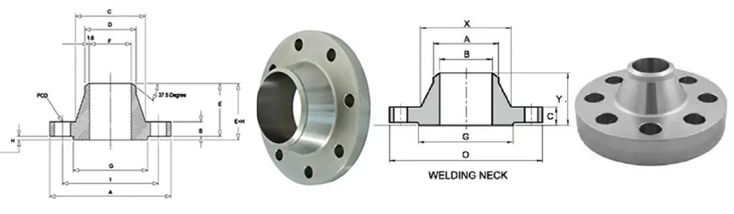 SS 316 Flanges manufactuere, supplier