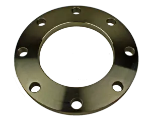 ss flange