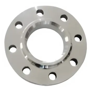 stainless steel flanges